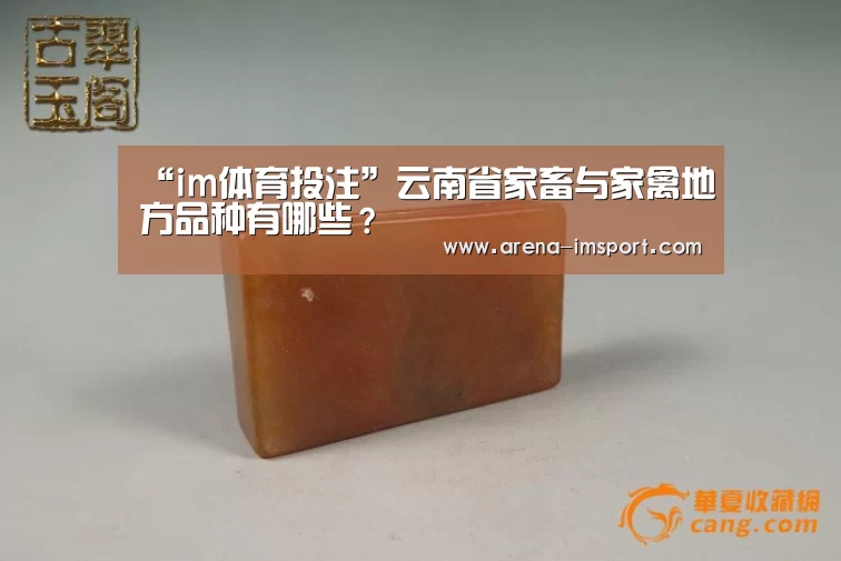 “im体育投注”云南省家畜与家禽地方品种有哪些?(图2) im体育分部