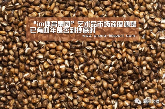 im体育集团
