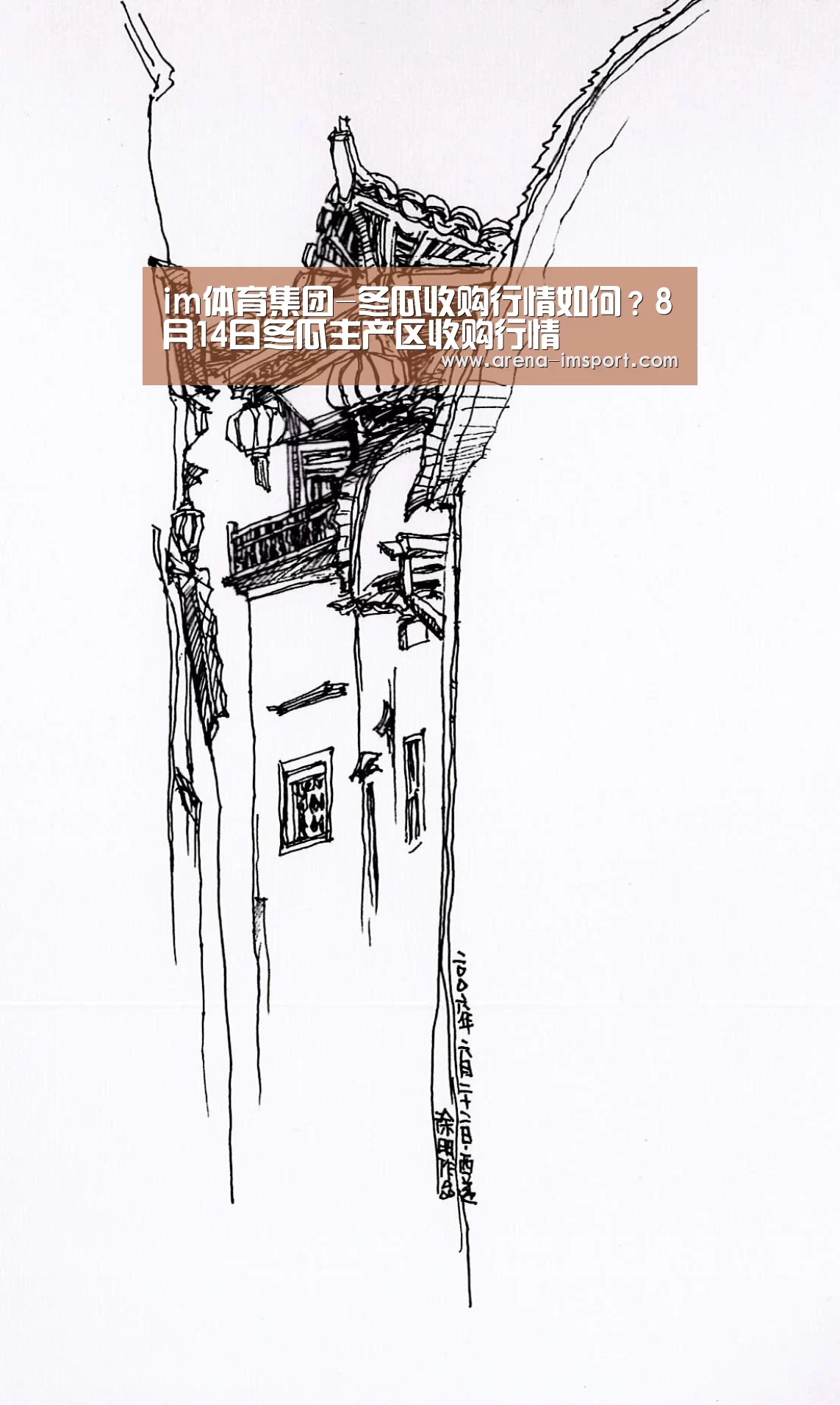 im体育集团-冬瓜收购行情如何？8月14日冬瓜主产区收购行情
