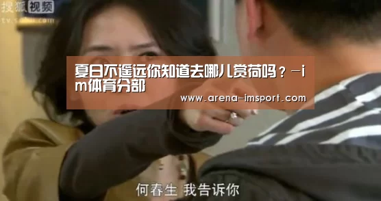 im体育投注