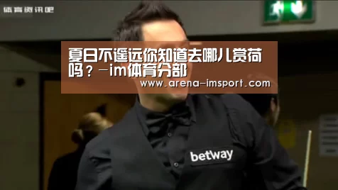 im体育官网