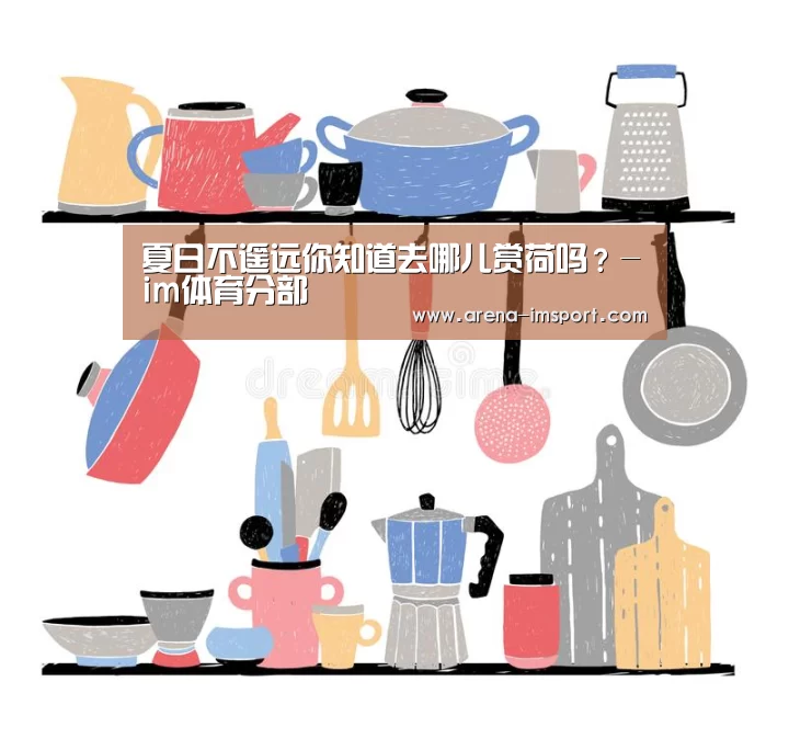 im体育投注